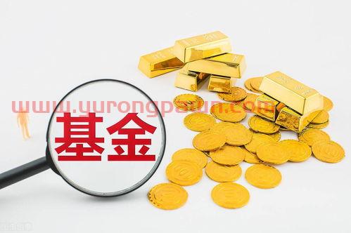 100元基金怎么样买的(100元买基金有收益吗) 100元基金怎么样买的(100元买基金有收益吗)