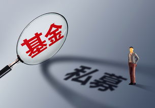 私募基金经理骗局揭秘视频(私募基金经理骗局揭秘视频播放)