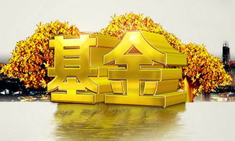 开盘后买什么基金好(买新开盘的基金有什么好处) 开盘后买什么基金好(买新开盘的基金有什么好处)