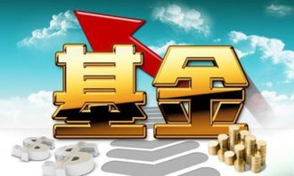 基金买入当天怎么看收益(买基金怎么知道当天的价值) 基金买入当天怎么看收益(买基金怎么知道当天的价值)