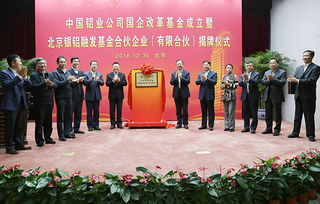中铝集团基金投资公司(中铝集团基金投资公司怎么样) 中铝集团基金投资公司(中铝集团基金投资公司怎么样)