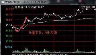 新手怎么买第一笔基金股票(新手怎么买入基金) 新手怎么买第一笔基金股票(新手怎么买入基金)