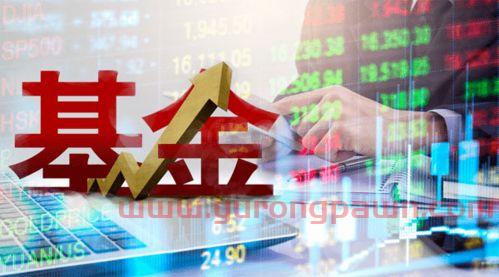 春节前一天买的基金怎么样（春节前买基金有什么好处）