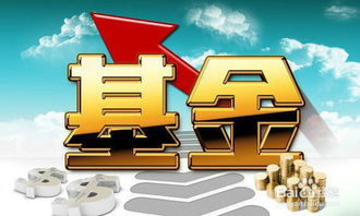 买基金的效率怎么样(买基金怎么样?) 买基金的效率怎么样(买基金怎么样?)