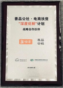 中国扶贫基金会财务公示(中国扶贫基金会中标公告)