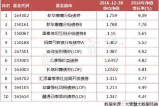 债券基金等级怎么看收益(债券型基金怎么看) 债券基金等级怎么看收益(债券型基金怎么看)