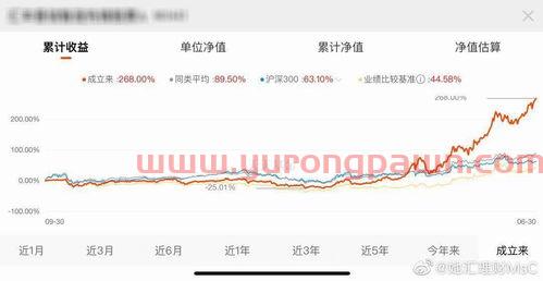 基金当天怎么看净值收益（基金当天净值哪里看比较准）