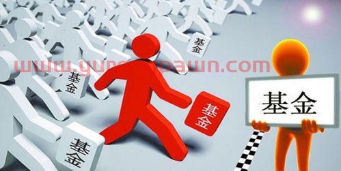 新手怎么入门买基金股票(新手应该怎样买基金知乎) 新手怎么入门买基金股票(新手应该怎样买基金知乎)