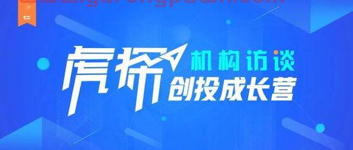 成都基金投资公司有哪些（成都比较好的基金公司有哪些）
