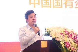 中国风险投资基金总经理(国家风险投资基金执行董事) 中国风险投资基金总经理(国家风险投资基金执行董事)