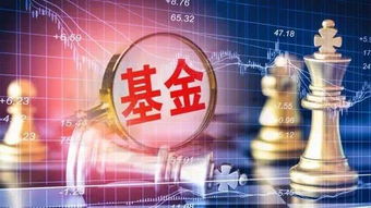 秋冬季买什么基金好（天冷买什么基金）