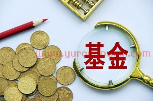 买新的基金有什么好(购买新的基金合适吗?) 买新的基金有什么好(购买新的基金合适吗?)