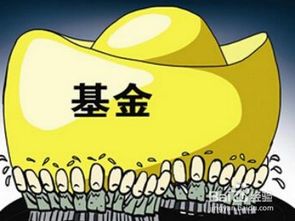 当前买基金理财怎么样(当前买基金理财怎么样可靠吗) 当前买基金理财怎么样(当前买基金理财怎么样可靠吗)