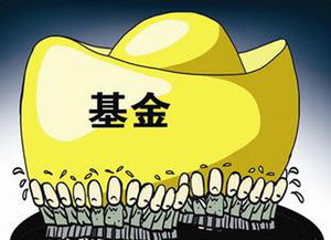 跟风买什么基金好一点（买什么基金风险低）