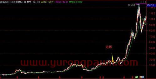买新能源的基金怎么样（新能源基金值不值得买）