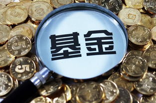 春节期间买什么基金好(春节期间买什么基金好呢) 春节期间买什么基金好(春节期间买什么基金好呢)