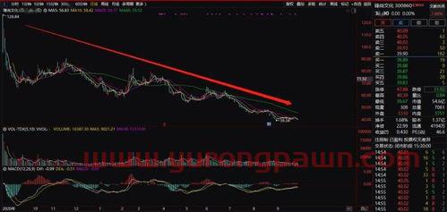 什么人买北交所基金好一点(北交所买什么股票) 什么人买北交所基金好一点(北交所买什么股票)