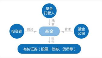 基金和投资公司有风险吗（基金和投资公司有风险吗知乎）