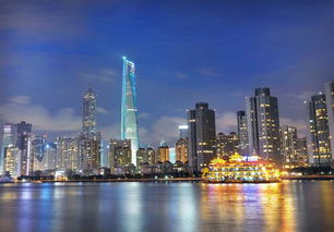 上海环球金融中心国泰君安(上海环球金融中心 公司)