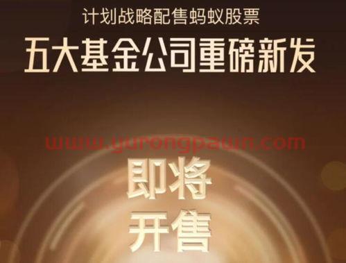 买基金买什么产品好(买基金买什么基金)