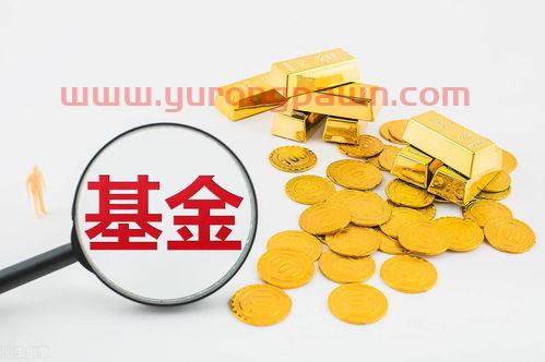 基金买新发售基金怎么样(新基金发售该买吗) 基金买新发售基金怎么样(新基金发售该买吗)