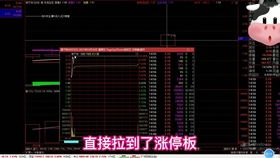 江海证券基金经理排名前十（江海证券基金经理排名前十名是谁）