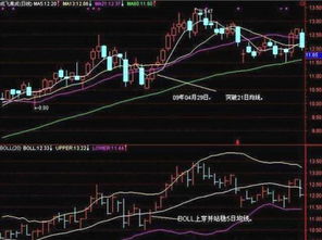 德宏股份(德宏股份公司简介) 德宏股份(德宏股份公司简介)