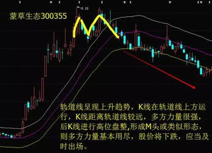 股票基本面(股票基本面分析的主要内容)