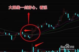 白酒板块(白酒板块龙头股有哪些) 白酒板块(白酒板块龙头股有哪些)