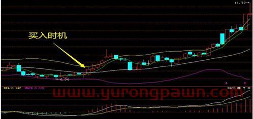 162412(162412基金实时净值) 162412(162412基金实时净值)