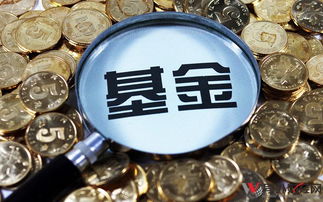 基金白酒买什么好(基金白酒买那个)