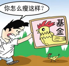 基金公司买什么好(基金公司买基金最便宜吗)