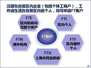 自贸区中的金融是什么意思(自贸区中的金融是什么意思)