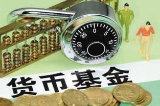 美元基金怎么看收益和累计(美元基金怎么看收益和累计收益)