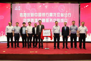 金融机构核心是中国银行吗(我国金融机构中处于核心地位的是)