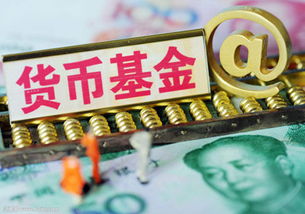货币基金买什么好一点(想买货币基金不知哪家好?)