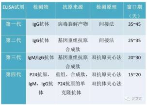 金融上的窗口期是什么意思(窗口期的概念及意义)