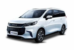 大通电动汽车价格表(大通纯电动车)