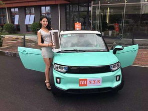米家纯电动汽车价格表(小米纯电动轿车)