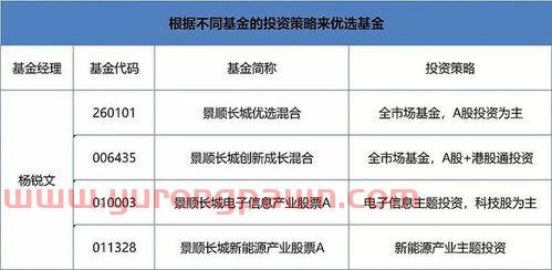基金经理去哪选择基金投资(基金经理去哪选择基金投资人)