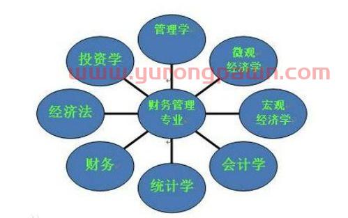金融与财务管理专业学什么(金融与财务管理专业学什么科目)