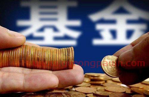 小散买基金怎么样(小散户可以买哪些股票)