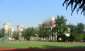 郑州金融学院学什么专业好(郑州金融学院是大专吗)