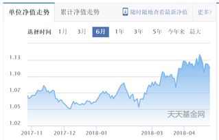 买股票怎么能看到基金净值(股票里怎么看基金净值和市值)