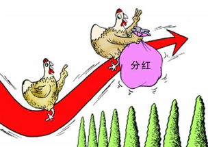 怎么可以买股票基金啊(怎样买股票基金,只赚不赔)