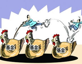 基金经理的投资感悟(基金经理的投资感悟和体会)