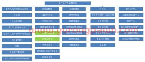 银行数字金融部是干什么(数字金融银行所做的思考)