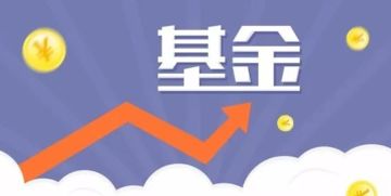 怎么样直接买基金(我想买基金怎么买)