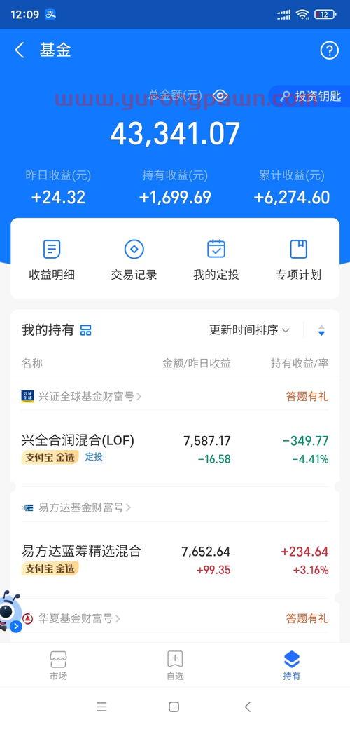 当天的基金收益怎么看(当天基金收益哪里能看到)
