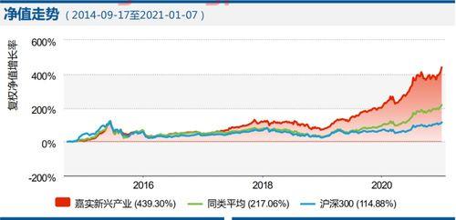 基金组合投资经理(基金组合投资案例)